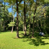 Review photo of Davis Pond Campsite by William S., September 27, 2021