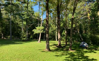 William S.'s photo at Davis Pond Campsite near White Oak, GA
