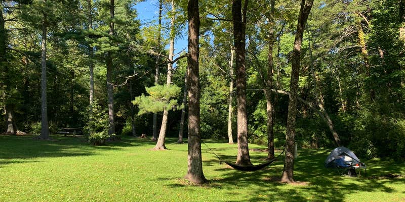 Camper submitted image from Davis Pond Campsite