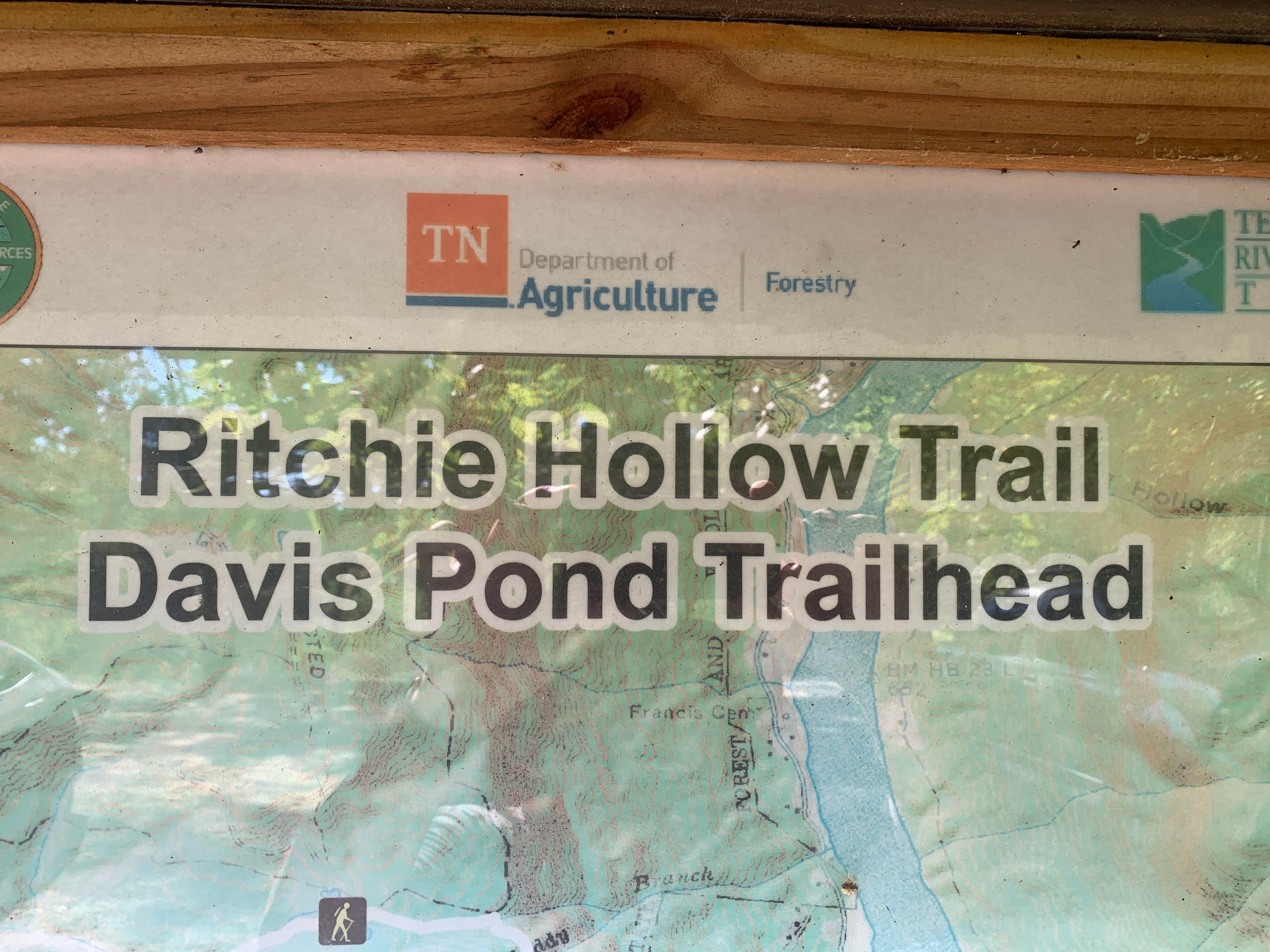 Camper-submitted photo at Davis Pond Campsite near Signal Mountain, TN