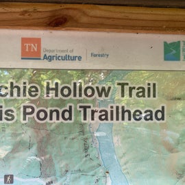 Rather than use the GPS coordinates (which will drop you in the middle of a road) look for the Ritchie Trail and Davis Pond.