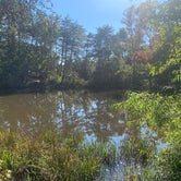 Review photo of Davis Pond Campsite by William S., September 27, 2021