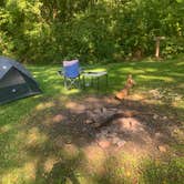 Review photo of Davis Pond Campsite by William S., September 27, 2021