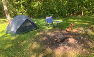 William S.'s photo of tent camping at Davis Pond Campsite near Cleveland, TN