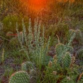 Review photo of Pawnee Buttes - Dispersed Camping by Erik C., September 27, 2021