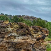 Review photo of Carizzo Canyon Picnic Area, Comanche National Grassland by Erik C., September 27, 2021