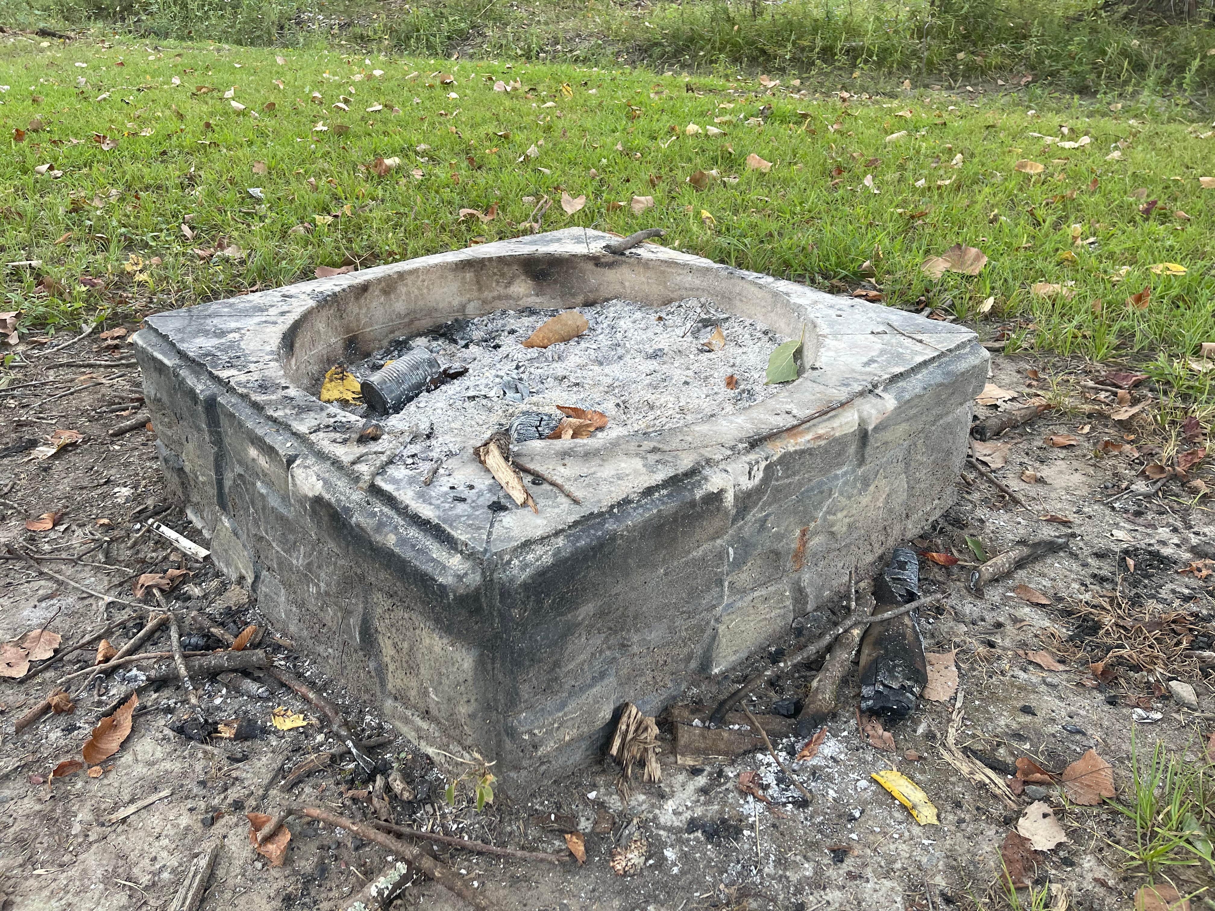 Camper submitted image from COE Millwood Lake Saratoga Park - 3