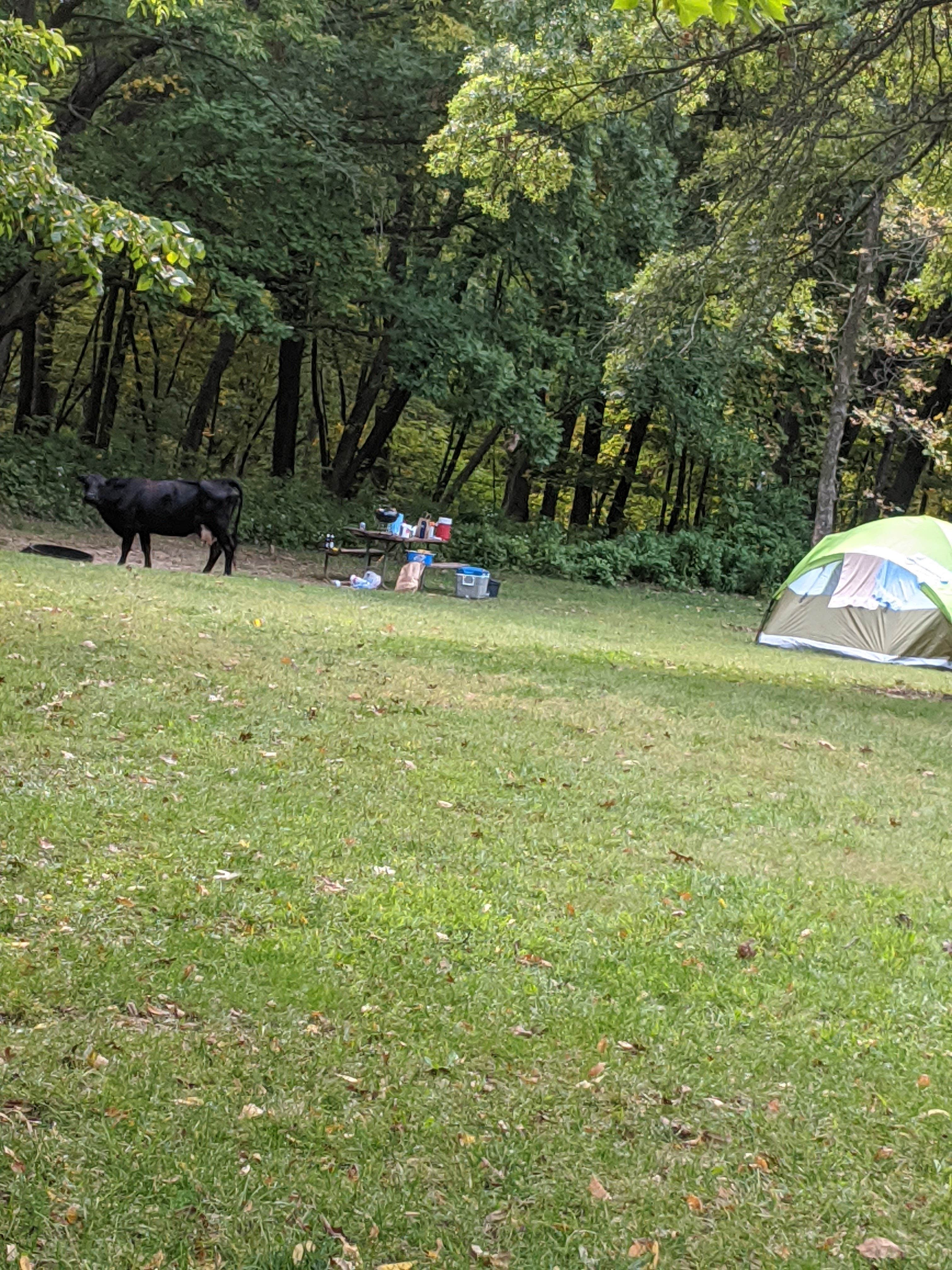 Michael S.'s photo at Yellow Banks County Park near Knoxville, IA