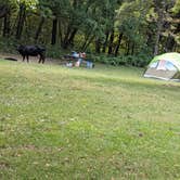 Review photo of Yellow Banks County Park by Michael S., September 27, 2021