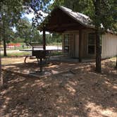 Review photo of Lake Bastrop North Shore Park by Troy W., July 1, 2018