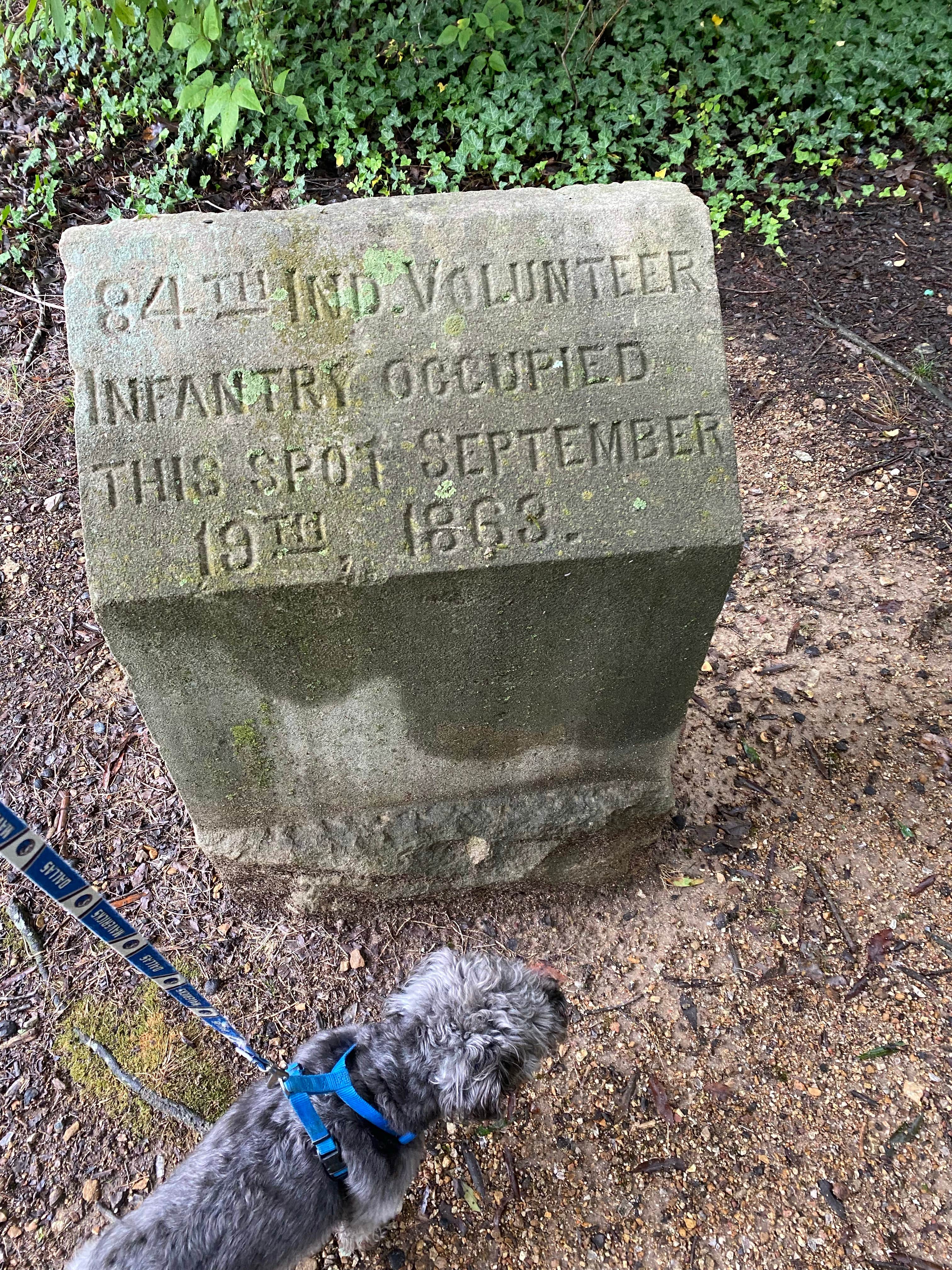 Jaime W.'s photo of camping with pets at Holiday Travel Park near Apison, TN