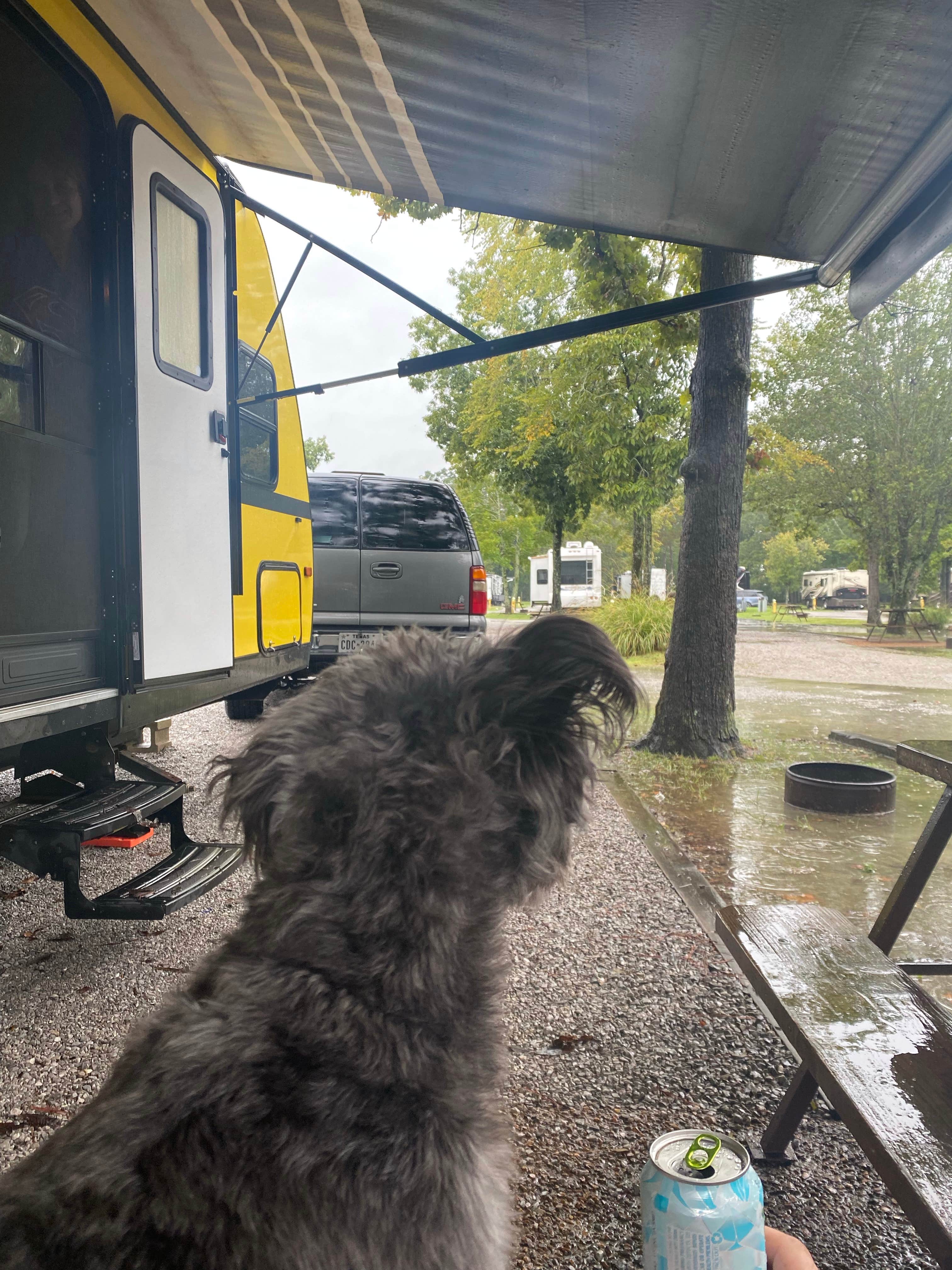 Jaime W.'s photo of camping with pets at Holiday Travel Park near Apison, TN