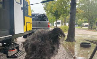 Jaime W.'s photo of camping with pets at Holiday Travel Park near Whiteside, TN