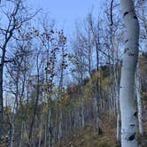 Review photo of Hornsilver Campground by Tommy B., September 28, 2021
