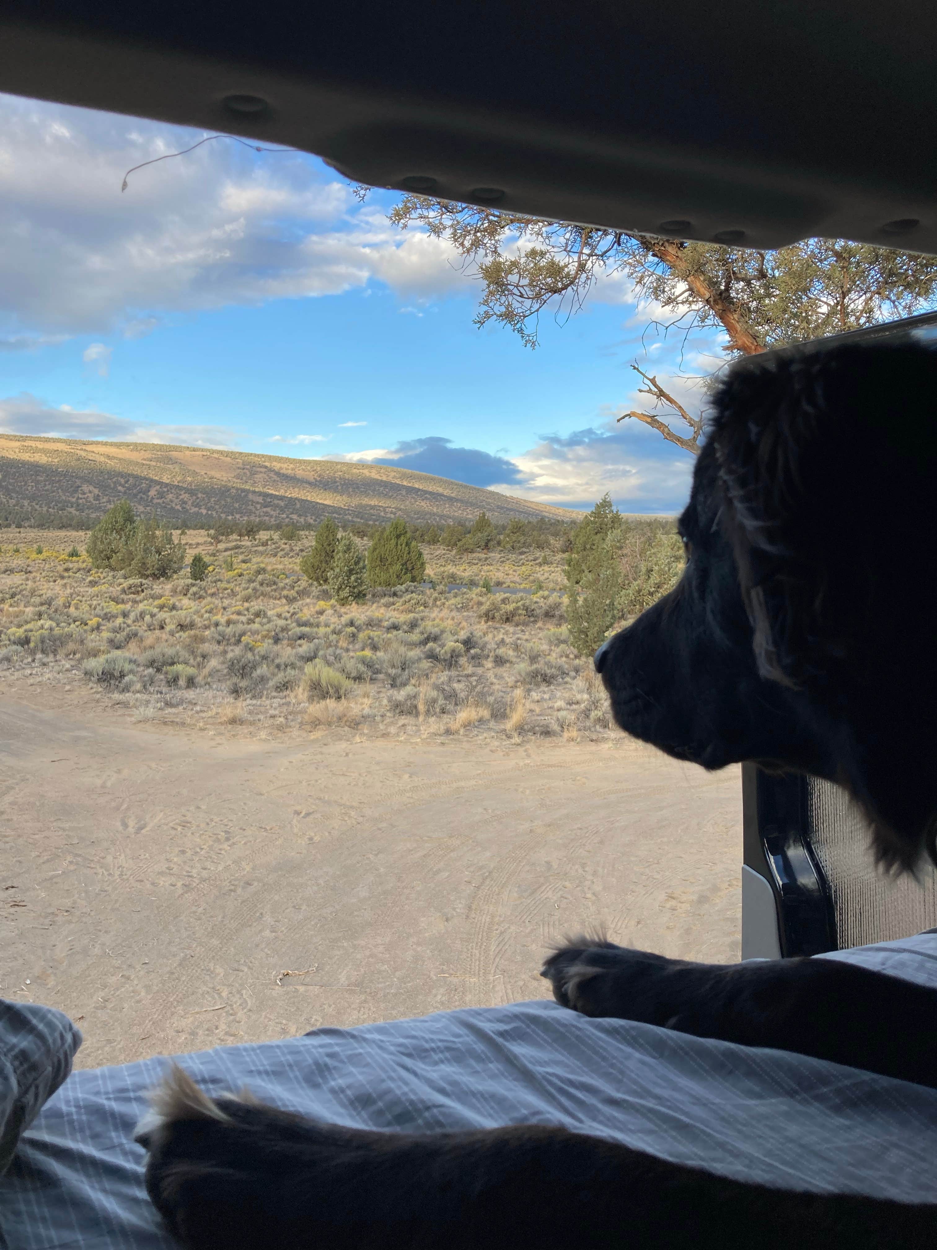 Camper submitted image from Oregon Badlands Dispersed - 5