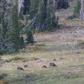 Review photo of Point Supreme Campground — Cedar Breaks National Monument by Beth B., September 28, 2021