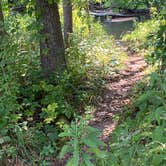 Review photo of Mohican State Park Campground by Andrew G., September 28, 2021