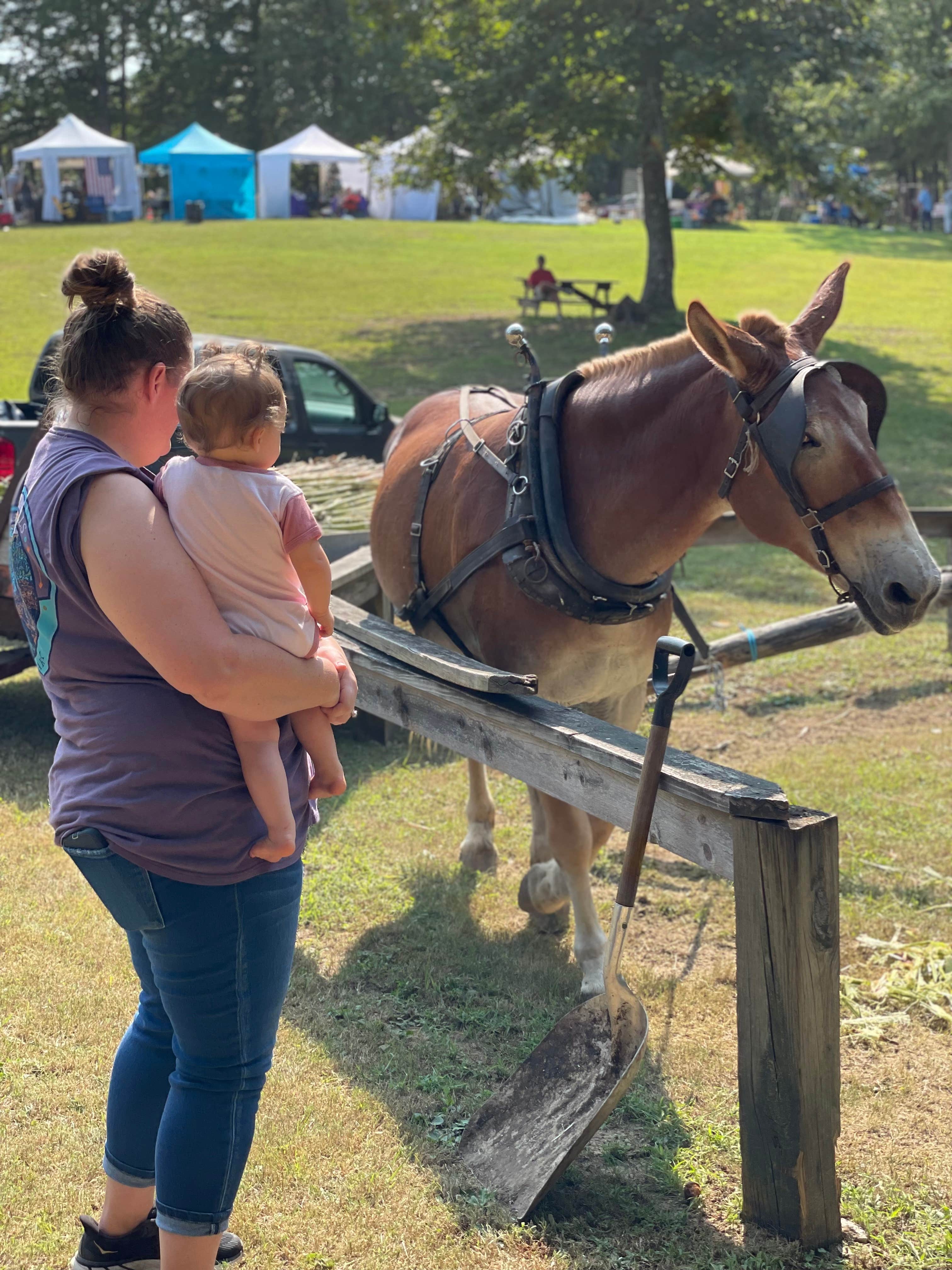 Kayla L.'s photo of camping with a horse at Fall Creek Falls State Park Campground near Birchwood, TN