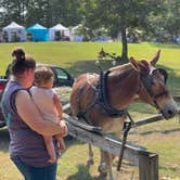 Review photo of Fall Creek Falls State Park Campground by Kayla L., September 16, 2021