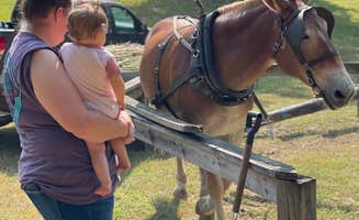 Kayla L.'s photo of camping with a horse at Fall Creek Falls State Park Campground near Birchwood, TN