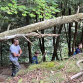 Review photo of Fall Creek Falls State Park Campground by Kayla L., September 28, 2021