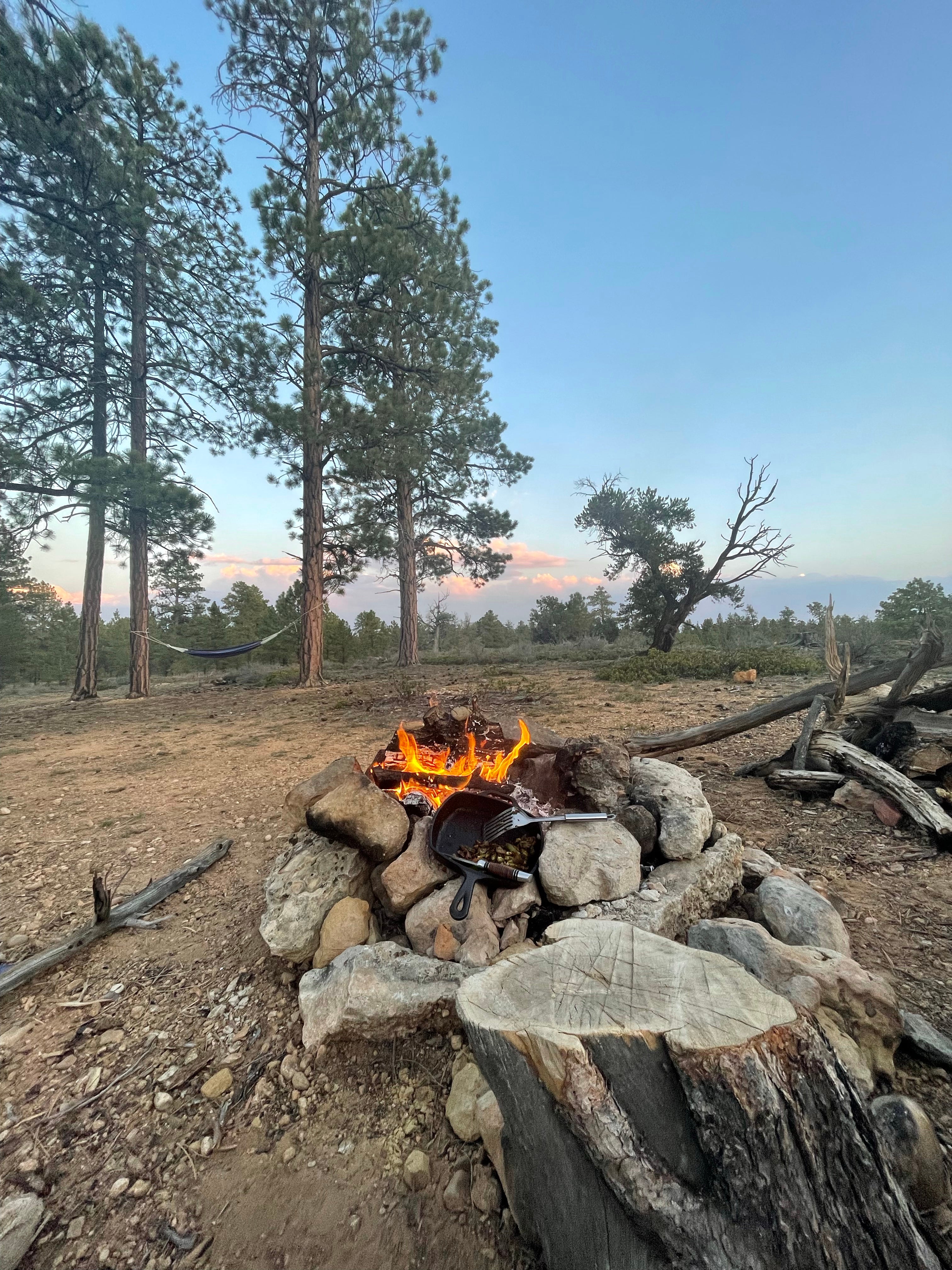Camper submitted image from FS #117 Rd Dispersed Camping - 4