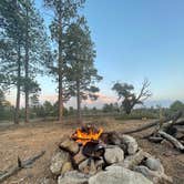 Review photo of FS #117 Rd Dispersed Camping by Nicole D., September 28, 2021