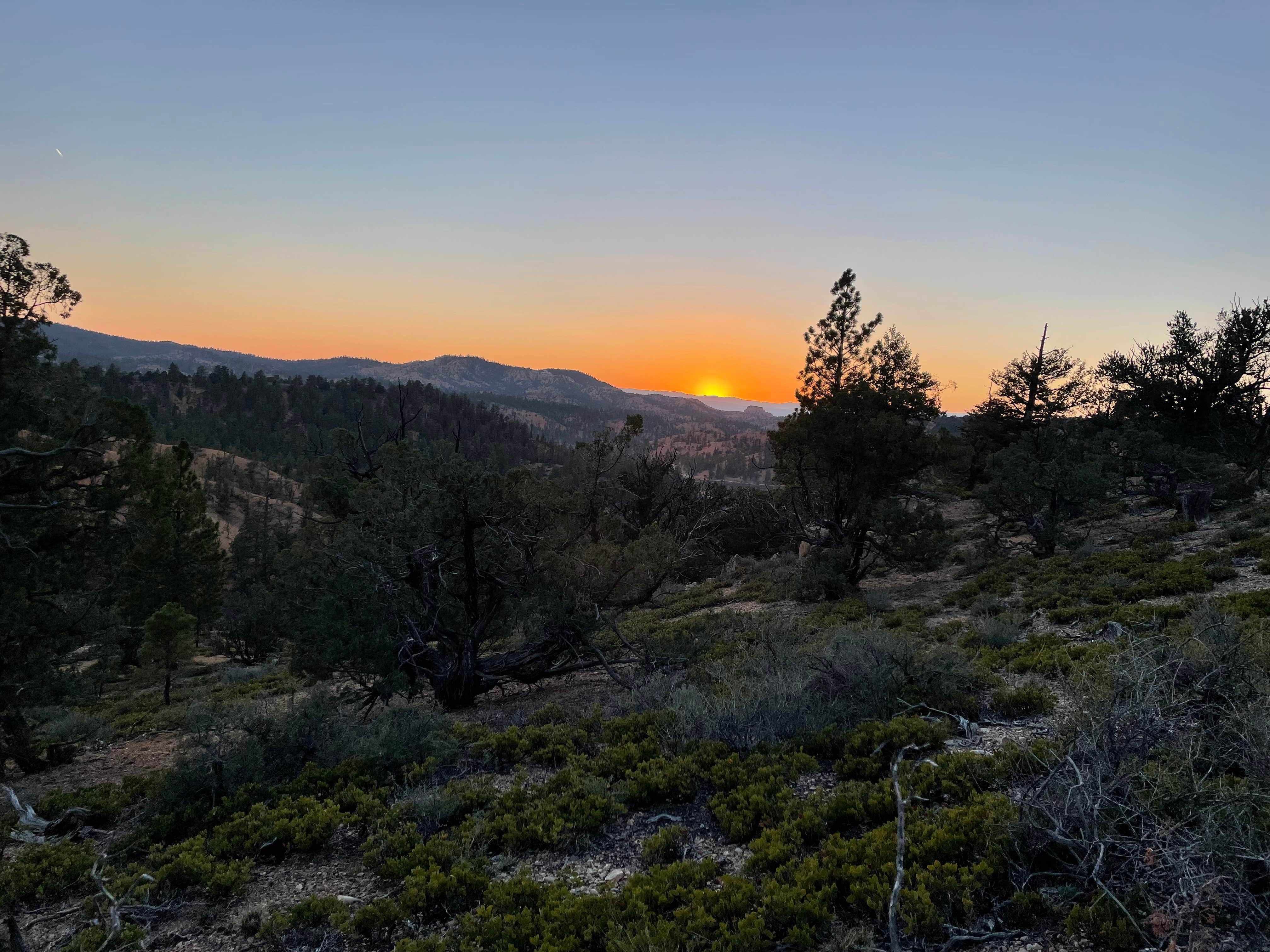 Nicole D.'s photo of a dispersed camping area at FS #117 Rd Dispersed Camping near Junction, UT