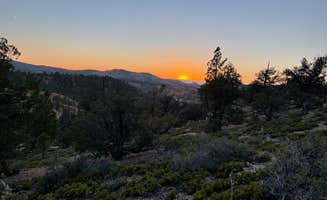 Nicole D.'s photo of a dispersed camping area at FS #117 Rd Dispersed Camping near Bryce Canyon National Park