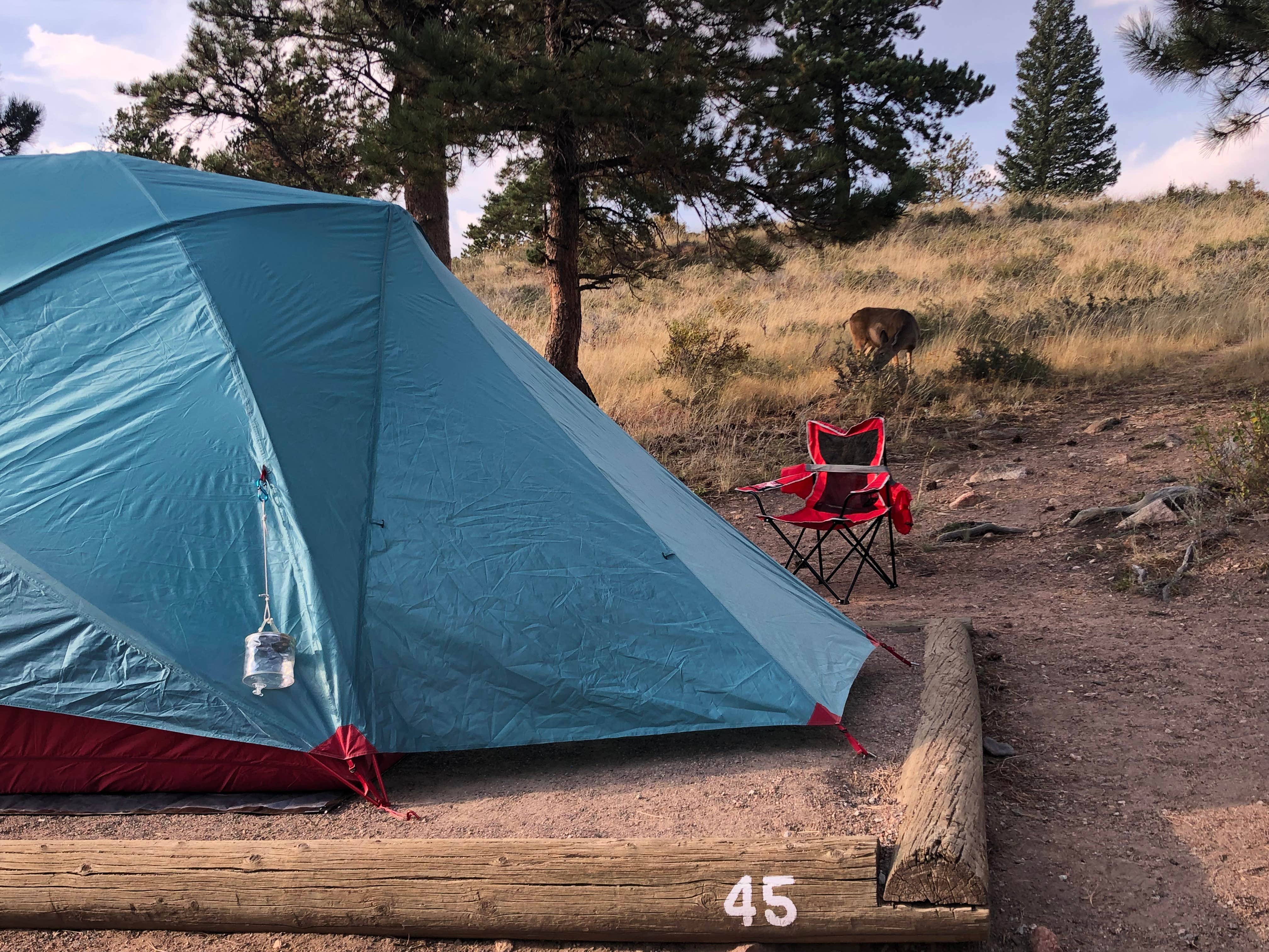 Kimberly B.'s photo at Moraine Park Campground — Rocky Mountain National Park near Estes Park, CO