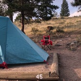 Review photo of Moraine Park Campground — Rocky Mountain National Park by Kimberly B., September 28, 2021