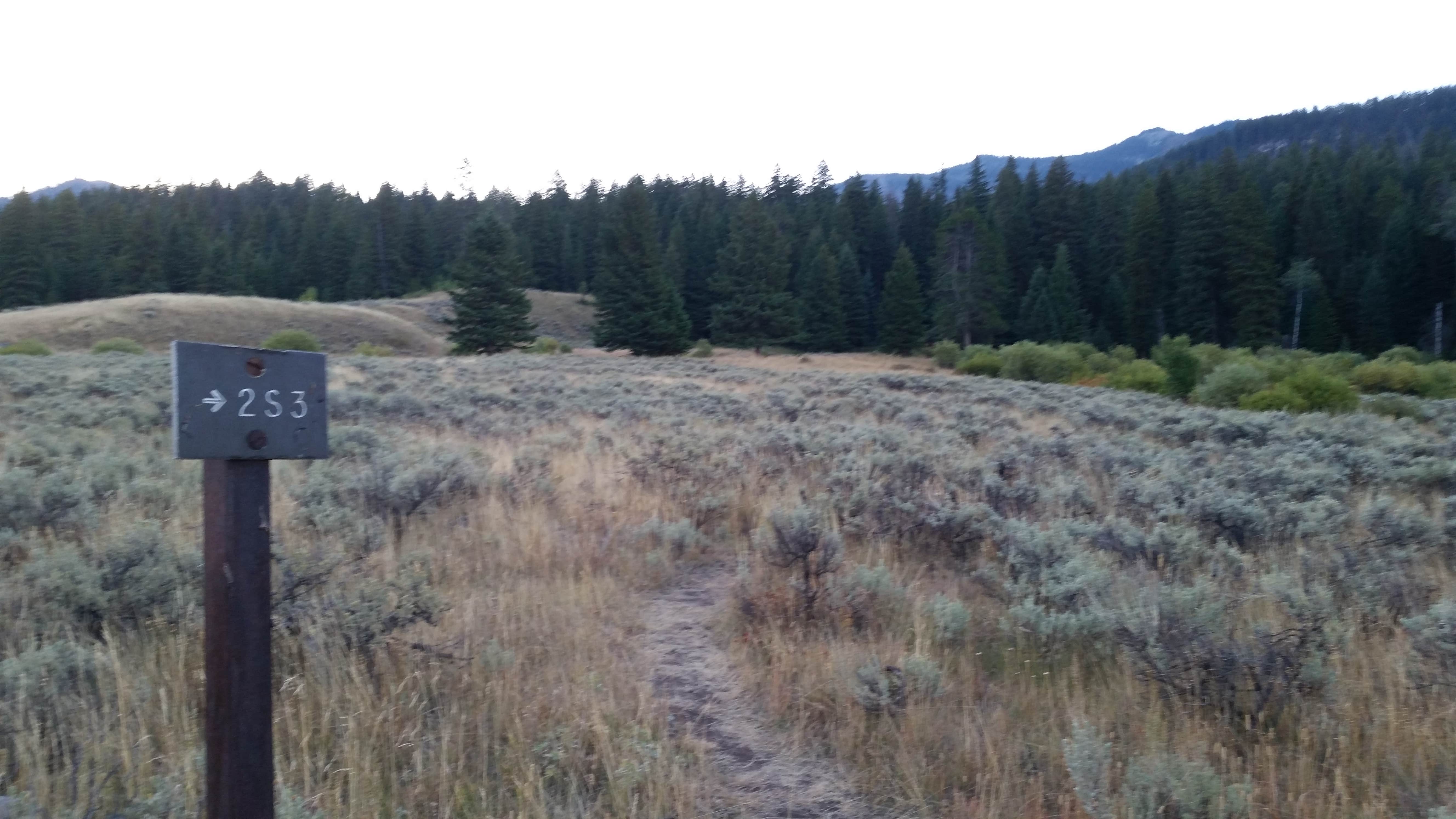 Camper submitted image from 2S3 Slough Creek - Yellowstone NP back country campsite — Yellowstone National Park - 1