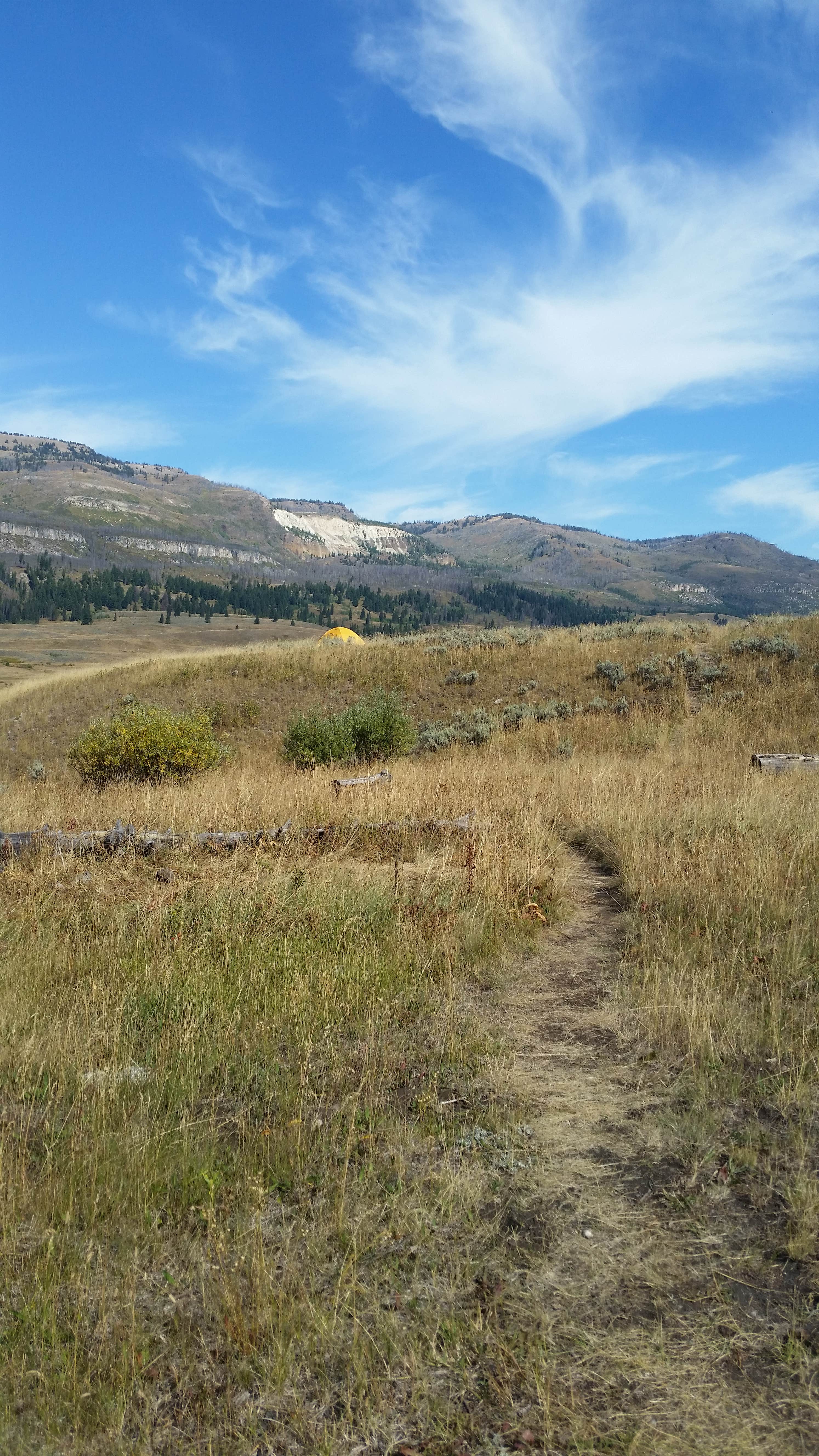 Camper submitted image from 2S3 Slough Creek - Yellowstone NP back country campsite - 5