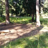 Review photo of 2S3 Slough Creek - Yellowstone NP back country campsite by Dexter I., September 28, 2021