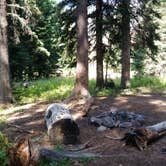 Review photo of 2S3 Slough Creek - Yellowstone NP back country campsite by Dexter I., September 28, 2021