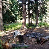 Review photo of 2S3 Slough Creek - Yellowstone NP back country campsite — Yellowstone National Park by Dexter I., September 28, 2021