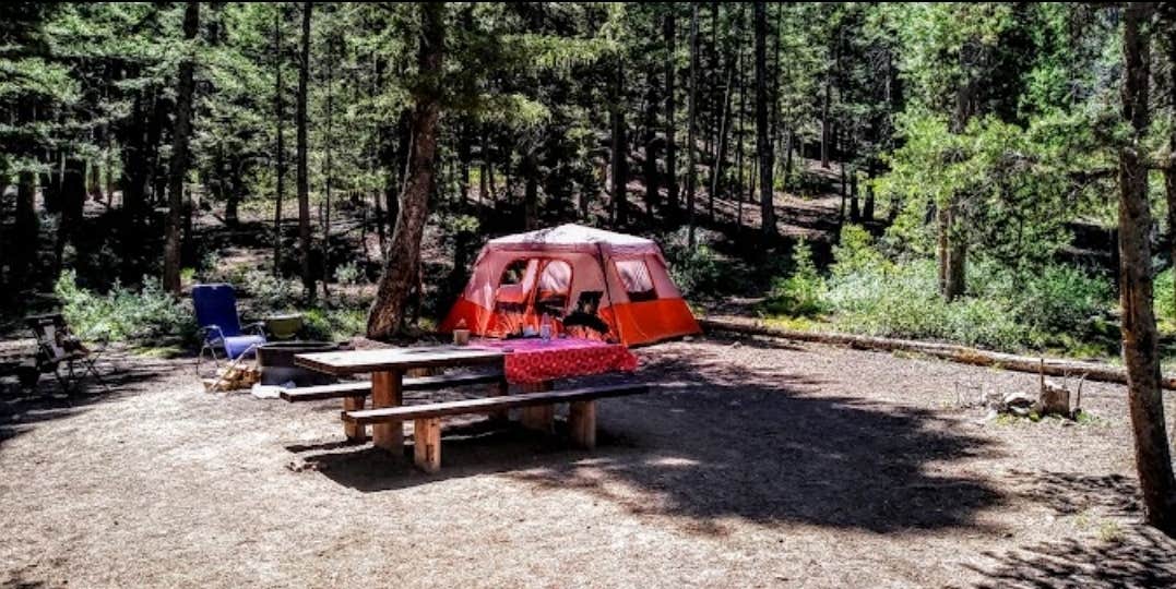 Nancy C.'s photo at Wood River Campground near Hailey, ID