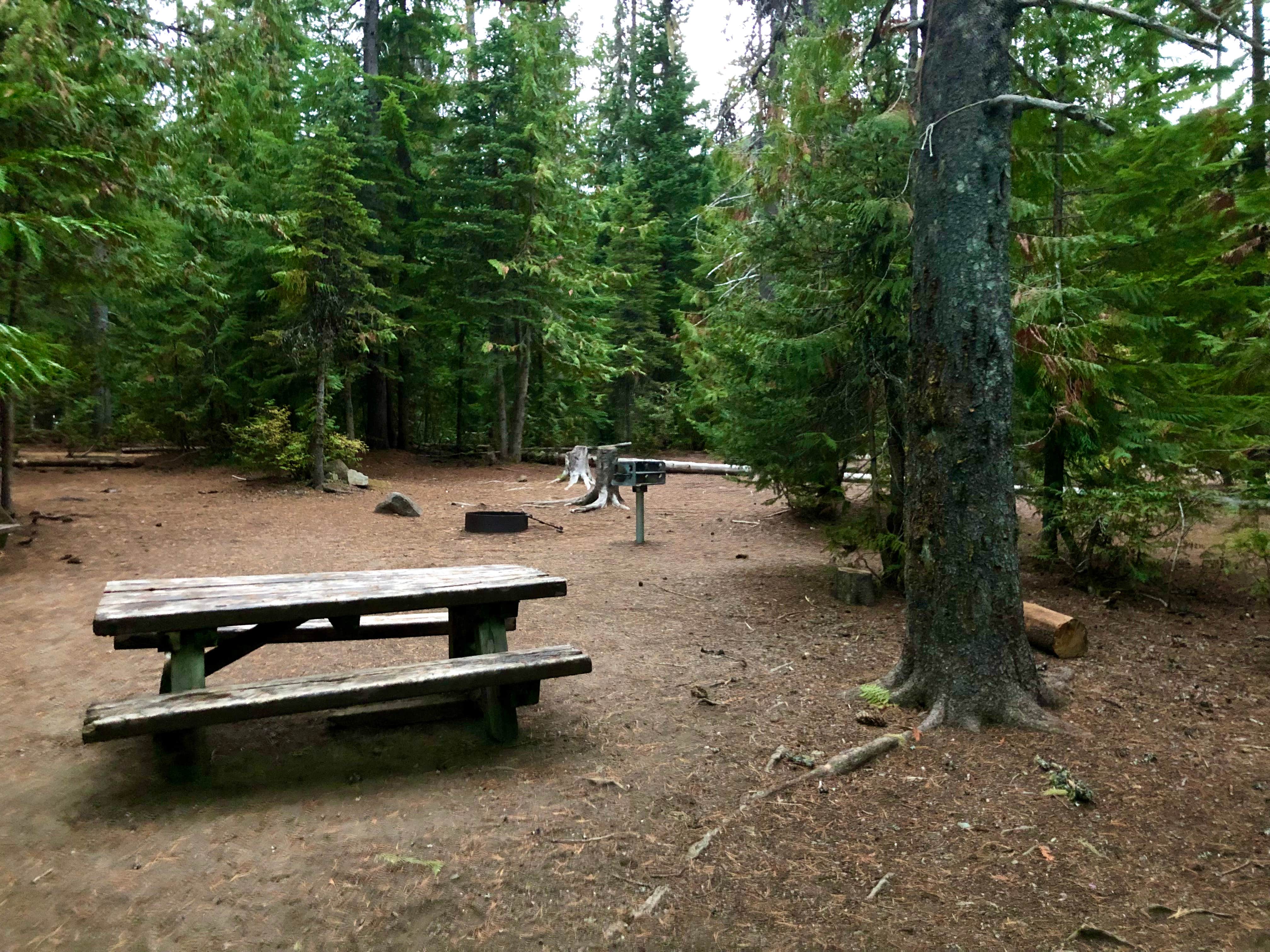 Ellen W.'s photo at Trillium Lake near Government Camp, OR