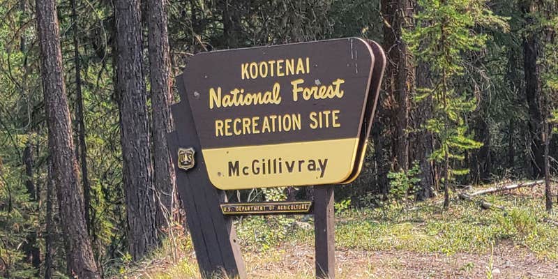 Camper submitted image from McGillivray