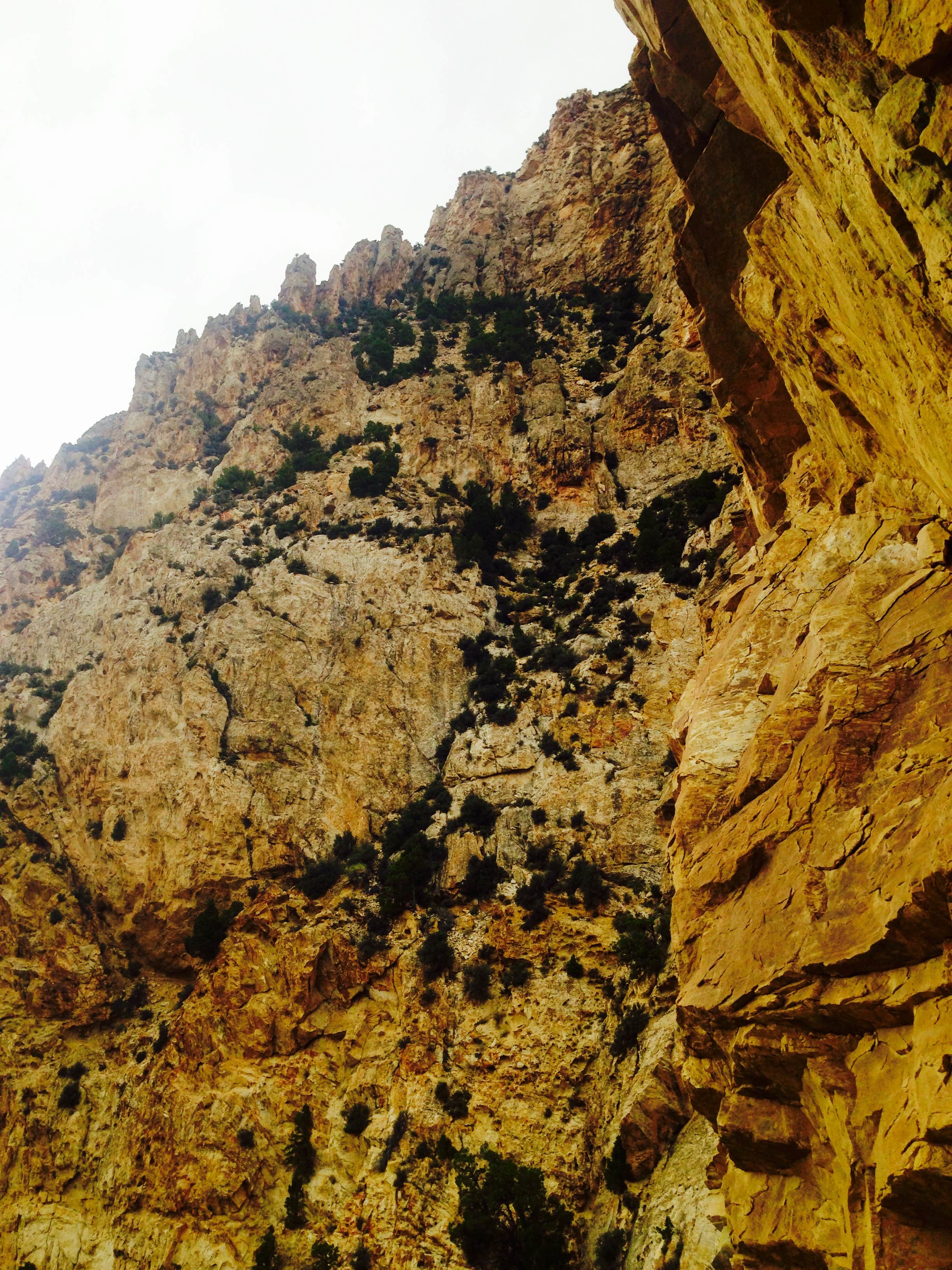 Camper-submitted photo at Sheep Creek Bay Boat Ramp and Campground near Manila, UT