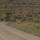 Review photo of Sheep Creek Bay Boat Ramp and Campground by Alan B., July 1, 2018