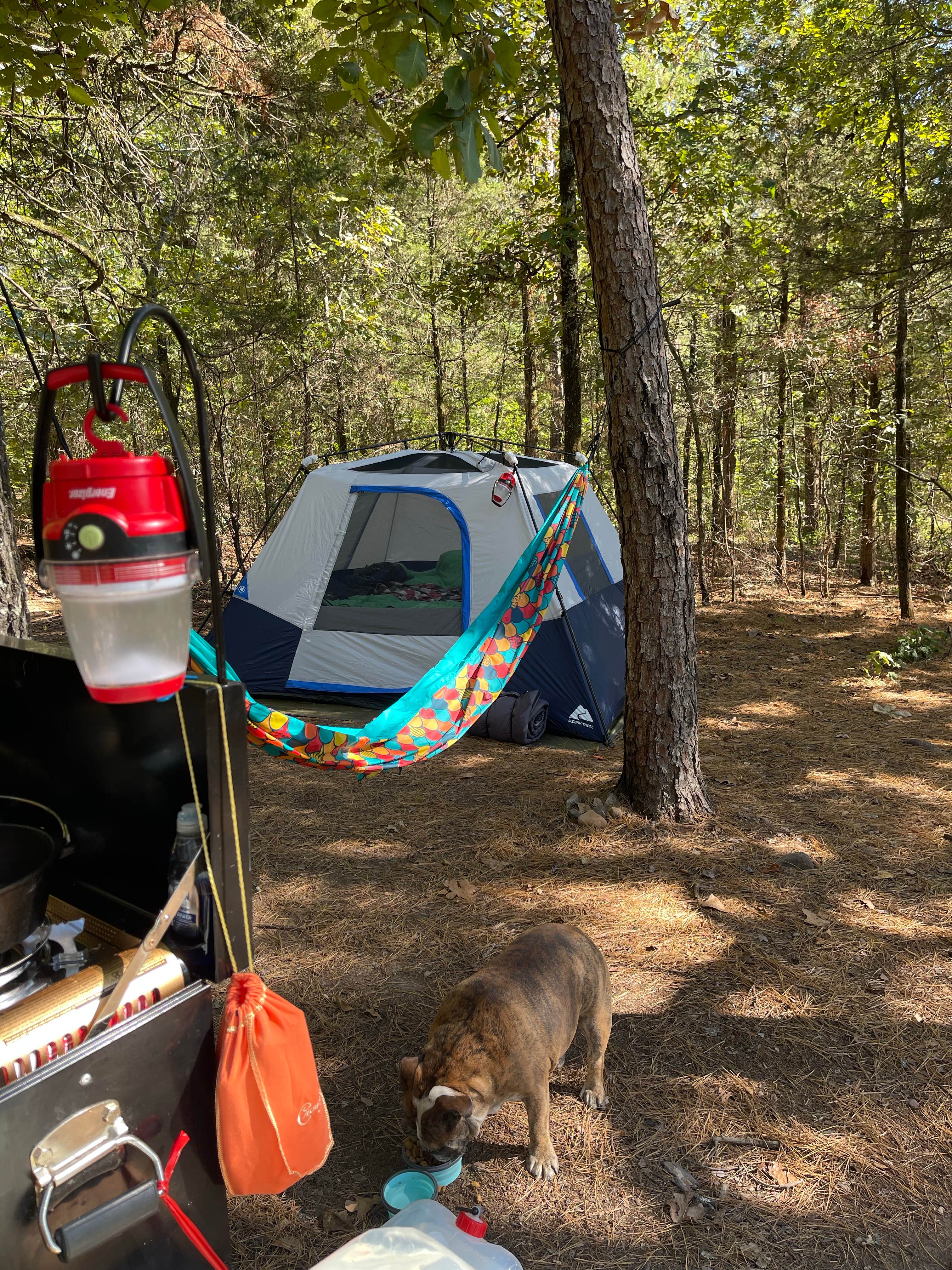 Candace R.'s photo at Mount Magazine State Park Campground near Paris, AR