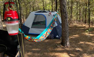 Candace R.'s photo at Mount Magazine State Park Campground near Blue Mountain, AR