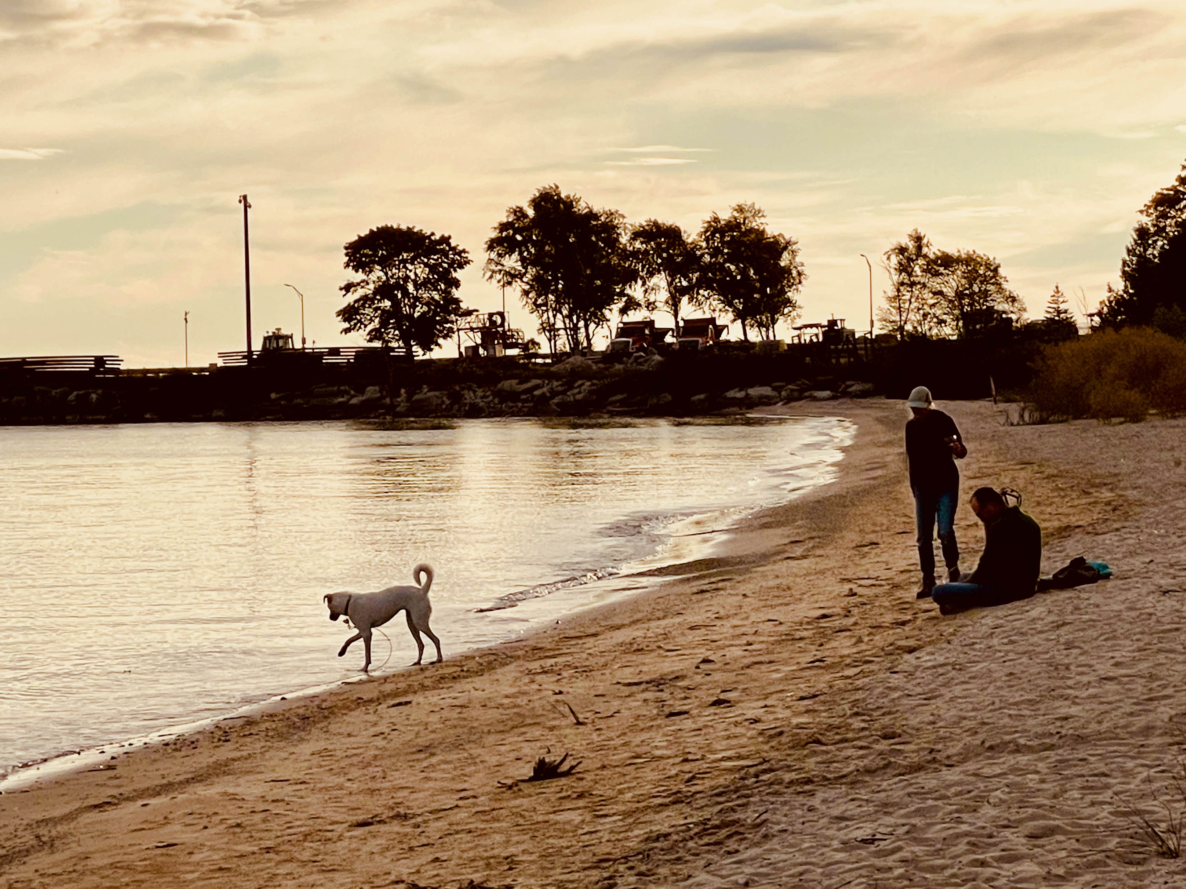 LoneCamper C.'s photo of camping with pets at Straits State Park Campground near Kinross, MI
