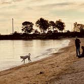 Review photo of Straits State Park Campground by LoneCamper C., September 28, 2021