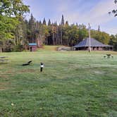 Review photo of Coleman State Park Campground by Miccal  M., September 28, 2021