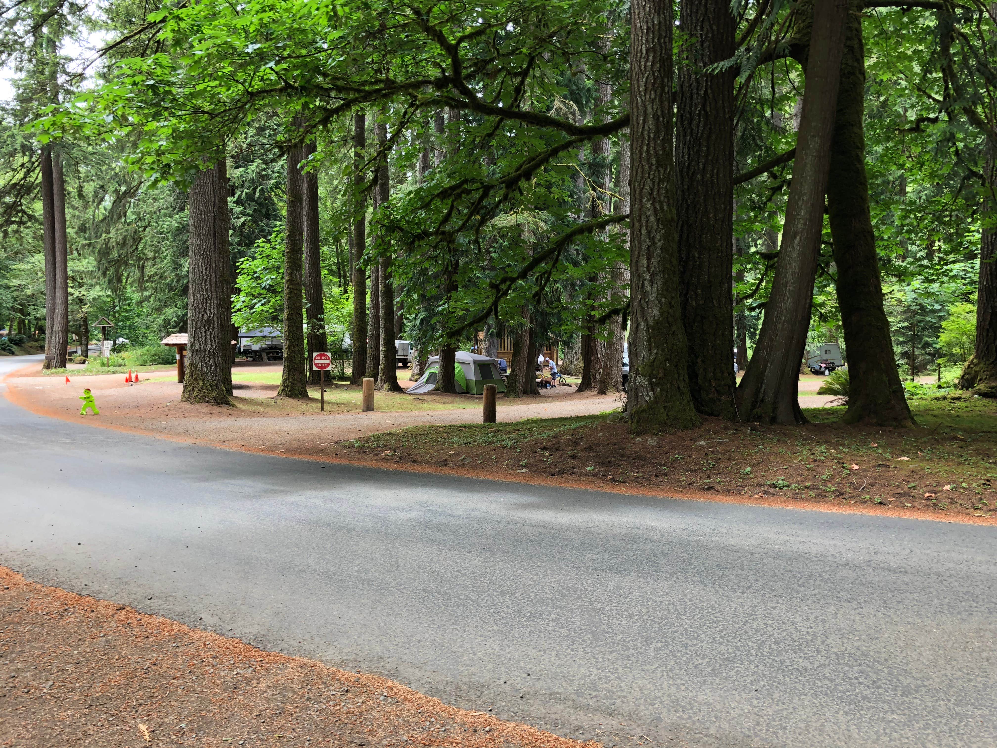 Camper submitted image from Henry Rierson Spruce Run Campground - 4