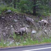 Review photo of Greek Creek Campground by Sharon S., July 22, 2016