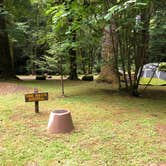 Review photo of Henry Rierson Spruce Run Campground by Brian C., July 1, 2018