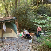 Review photo of Moonshine Creek Campground  by Rebecca , September 28, 2021